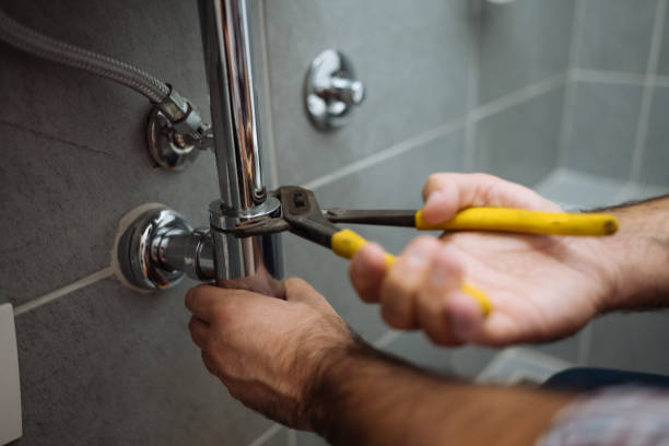 Best Local Plumber Services  in Lake Grove, NY
